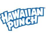 Hawaiian Punch - Fruit Punch 2020